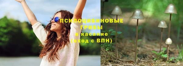 твердый Гусь-Хрустальный