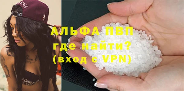 PSILOCYBIN Гусиноозёрск