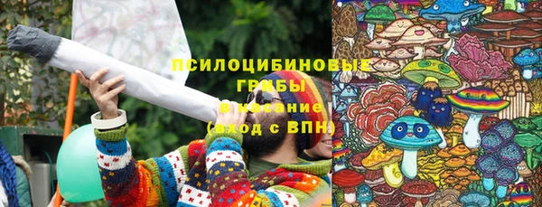 мяу мяу мука Гусев