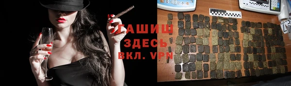 PSILOCYBIN Гусиноозёрск