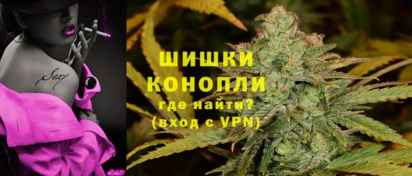 PSILOCYBIN Гусиноозёрск