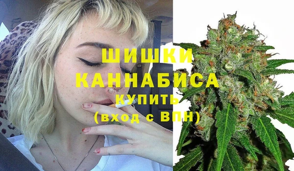 PSILOCYBIN Гусиноозёрск