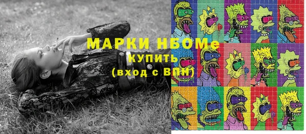 твердый Гусь-Хрустальный