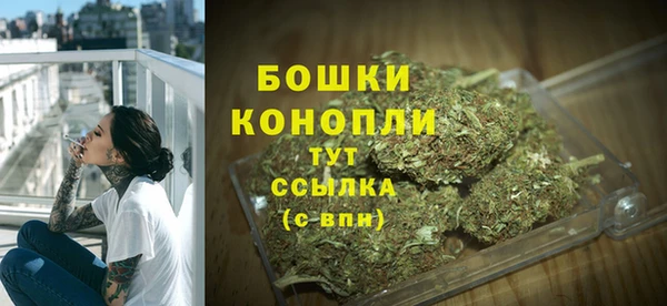 PSILOCYBIN Гусиноозёрск
