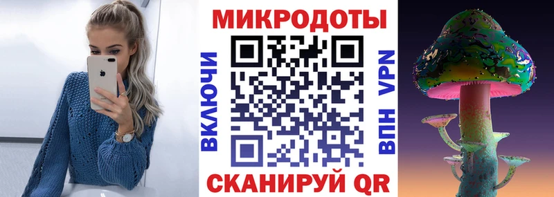 дарнет шоп  Салехард  Галлюциногенные грибы мухоморы 