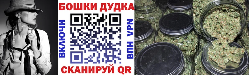 Бошки Шишки индика  где купить наркоту  Салехард 